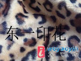 ޔ(sh)aӡ