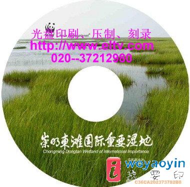 (yng)CDPӡˢ,VCDPzӡ,CD䛡b